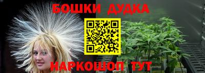 дживик Славгород