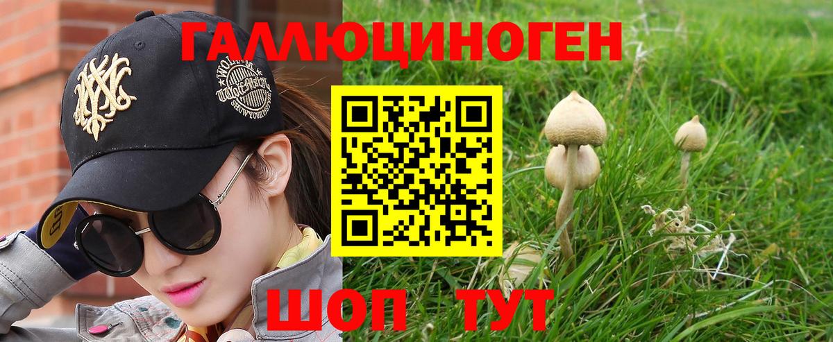 Оренбург  сколько стоит  Вход с VPN  Псилоцибиновые грибы GOLDEN TEACHER  Псилоцибиновые грибы Cubensis 