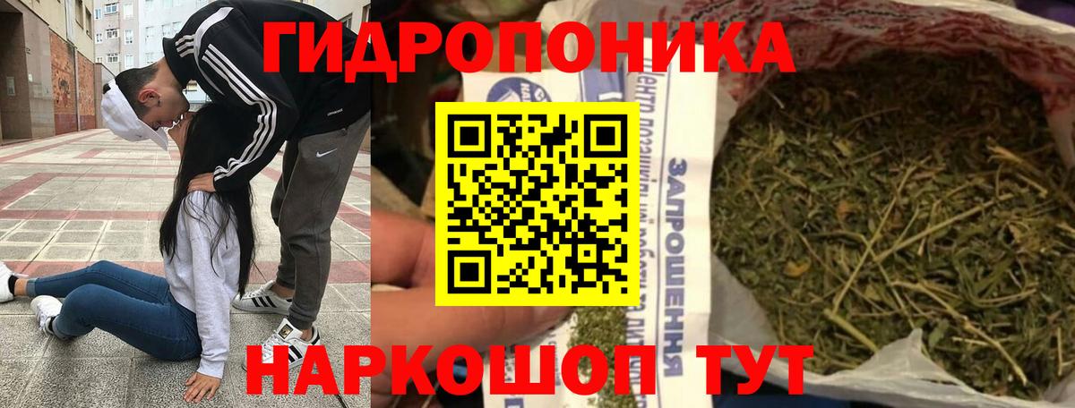 Канабис AK-47 Оренбург